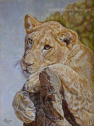 Tag Lion Cub - 76 hours
Brown Pastelmat
13.2" x 17.8"
Ref: Kathy Newton Tag Lion Cub - 76 hours
Brown Pastelmat
13.2" x 17.8"
Ref: Kathy Newton